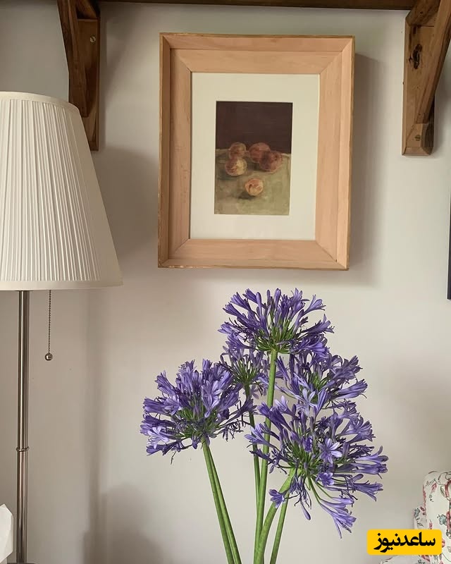 منزل پانته آ پناهی ها