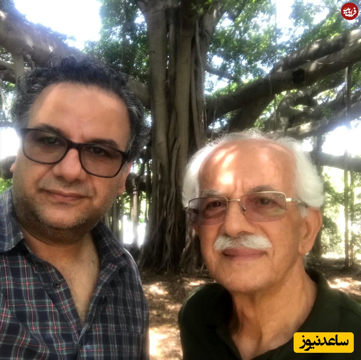 نینیفرکبتا