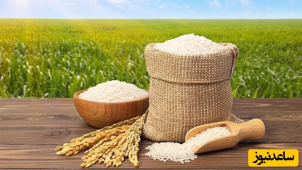 چگونه بوی بد برنج را از بین ببریم؟ | راهکارهای قطعی و خانگی