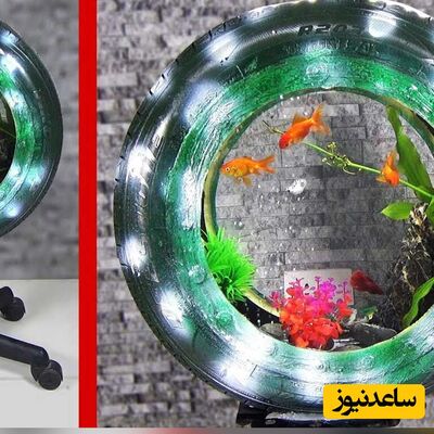 ایده جالب مرد خوش ذوق ایرانی در ساخت آکواریوم با تایر کهنه ماشین+ویدیو/ مغز اینو باید طلا گرفت