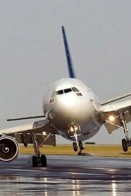 لحظه نفس‌گیر فرود اضطراری هواپیمای مسافربری وسط درخت‌ها ‍+ فیلم