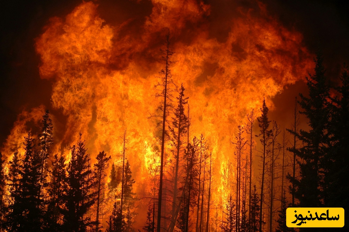 (ویدیو) آتش سوزی وحشتناک در جنگل های هیرکانی!/جهنم آخرالزمانی در جنگل های ایران به پا شده....افسوس