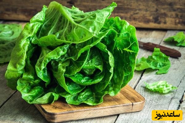 دیدن کاهو در خواب چه تعبیری دارد؟ / تعبیر خواب کاهو