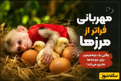 این ویدیو رو تا آخر ببین، دلتو می‌بره/ این بچه میمون 5تا جوجه ناز رو تو جنگل به سرپرستی گرفت😍