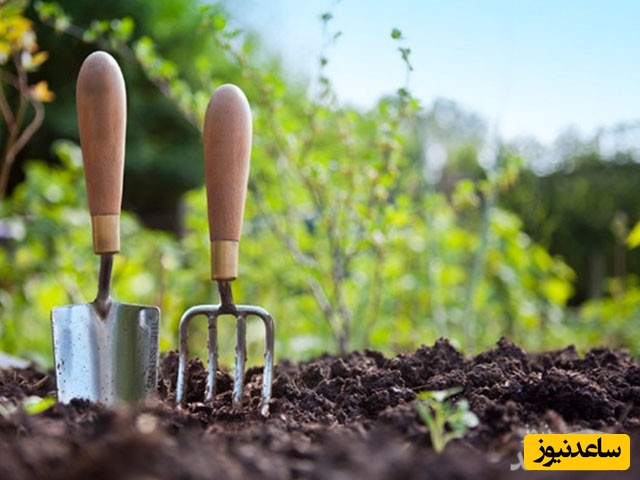 منابع و دروس مجموعه علوم و مهندسی باغبانی و ضرایب آن در مقطع کارشناسی ارشد