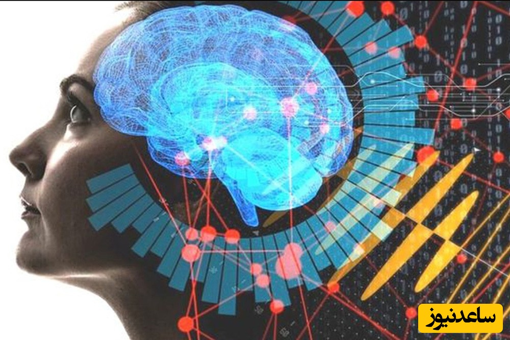 نمونه کارنامه و ظرفیت پذیرش رشته علوم شناختی در مقطع کارشناسی ارشد