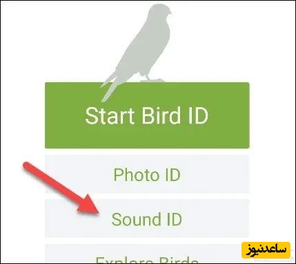 تصویراپ Merlin Bird ID