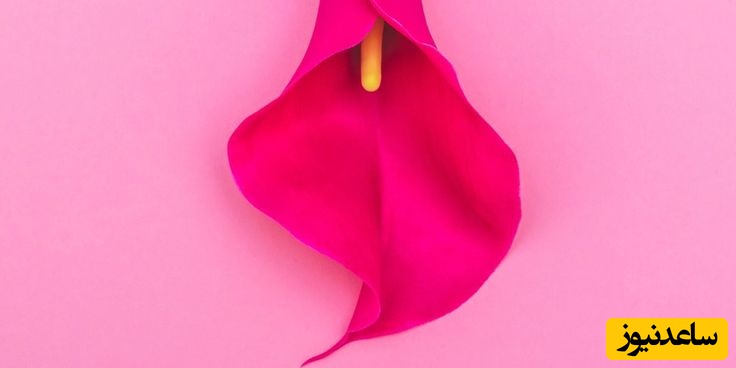 پرده بکارت چیست و چگونه پاره می‌شود؟