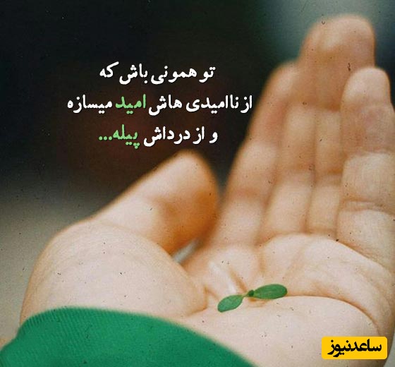 پیام انگیزشی امروز مخصوص تو؛ وقتی هیچ‌کس تو رو درک نمی‌کنه، وقتی حس می‌کنی تنهائی، اون لحظه‌ها مقدسن. چون...+ پیام کائنات امروز 6 دی 1404+ ویدئو