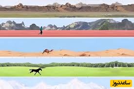 (ویدئو) انسان در برابر حیوانات/ در ماراتن 100 کیلومتری کدام یک پیروز است؟