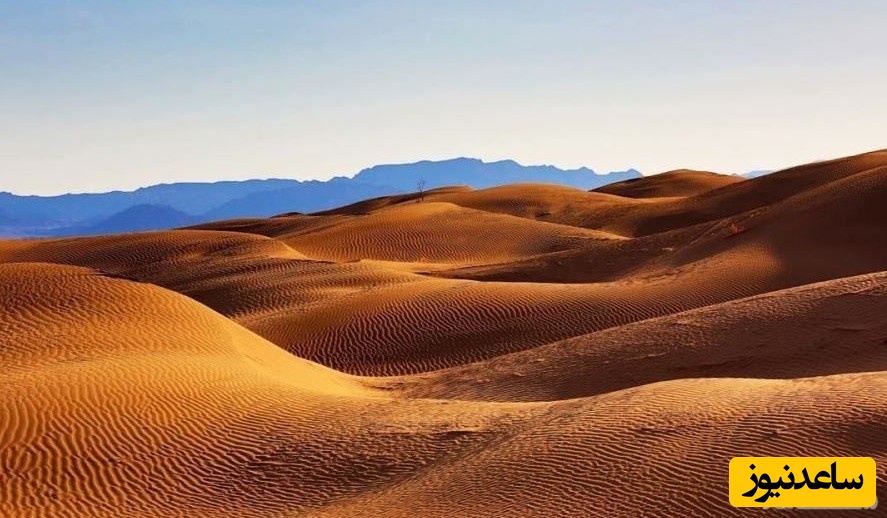 دیدن ریگ در خواب چه تعبیری دارد؟ / تعبیر خواب ریگ