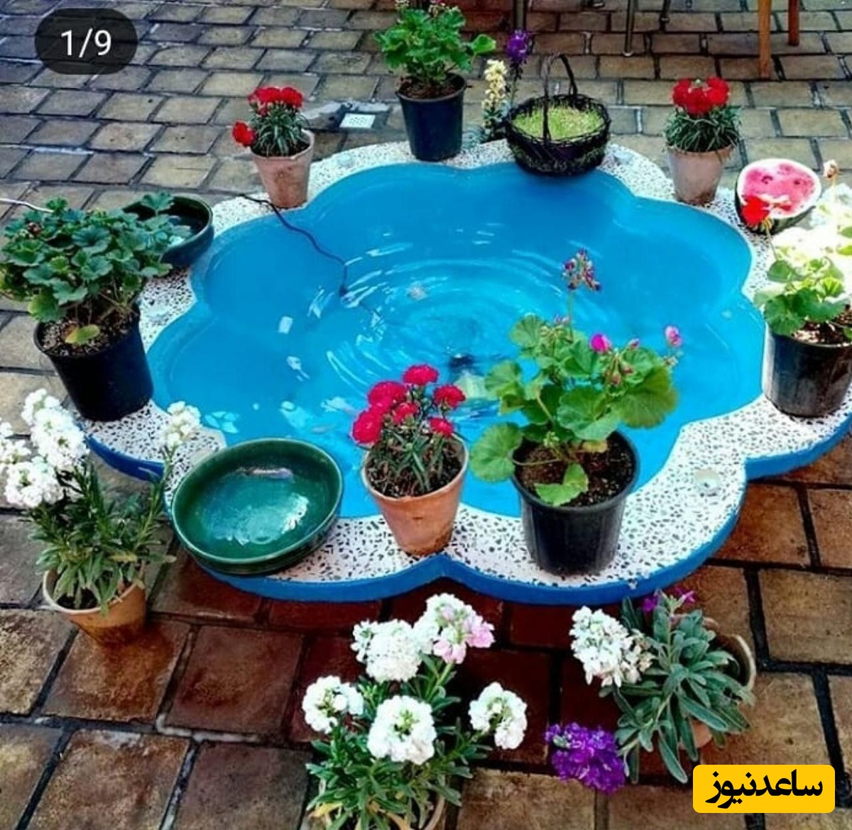 خلاقیت خیره‌کننده مرد خوش ذوق برای ساخت حوض کوچک فقط با چند تکه آجر؛ کافیه با این ترفند شوهرعمه‌ای سه سوته کاری کنی کارستون / دست مریزاد عجب چیزی به ذهنش رسید + ویدئو