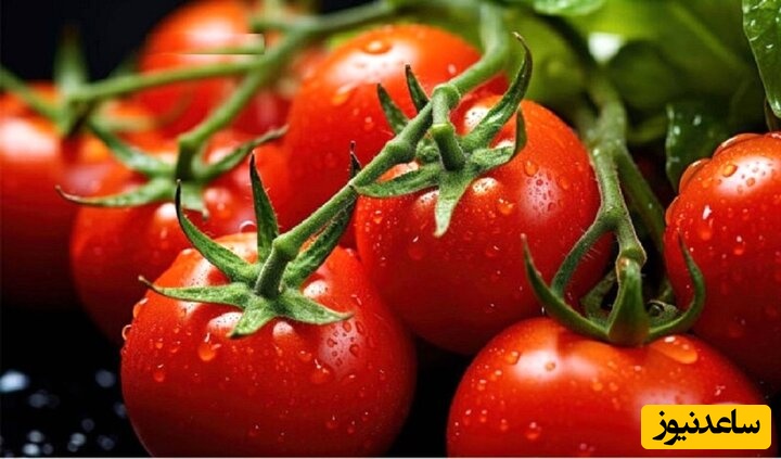 اطلاعیه مهم گمرک/ صادرات این محصول ممنوع شد