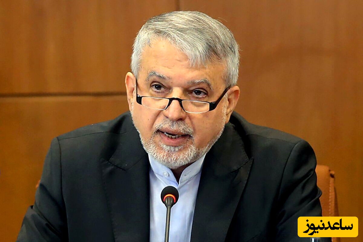 (ویدیو)‌ وزیر میراث فرهنگی: ما مولانا را نبخشیدیم / اگر با ترکیه به صورت مشترک ثبت  نمی‌کردیم....