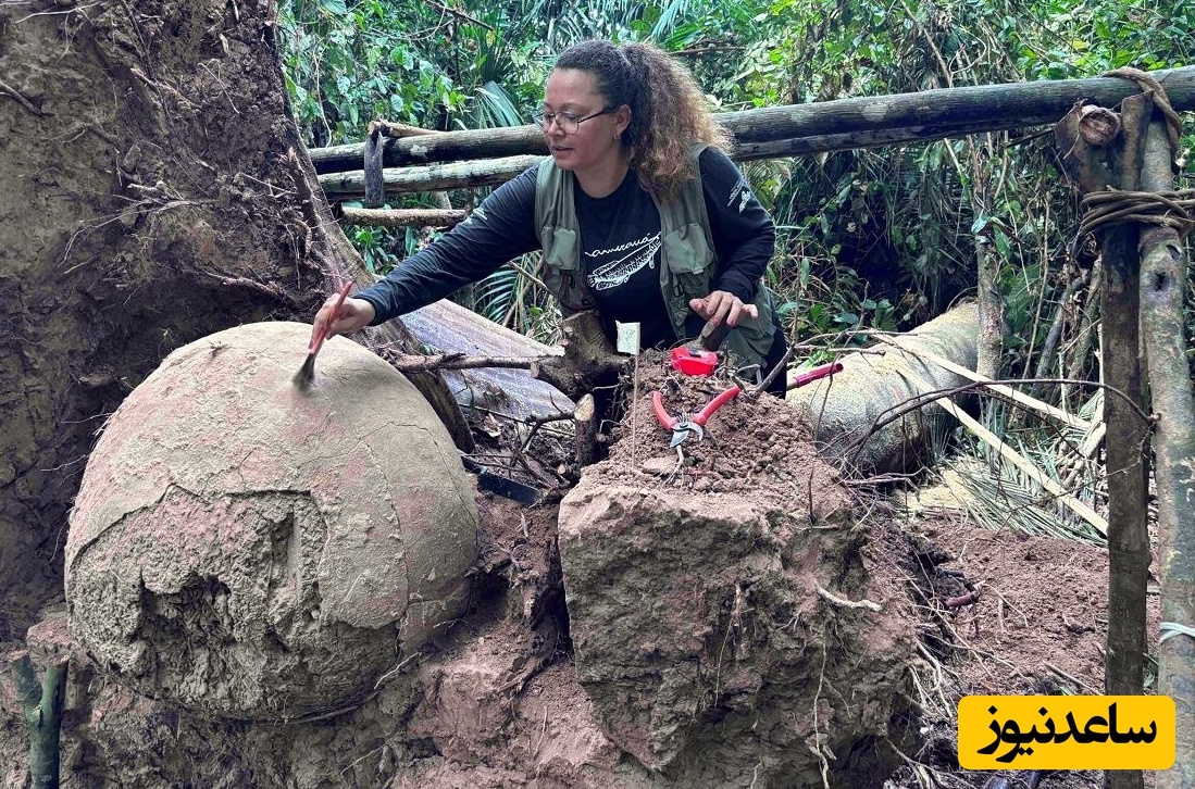 هفت کوزۀ باستانی از زیر ریشه‌های یک درخت در جنگل آمازون بیرون آمدند