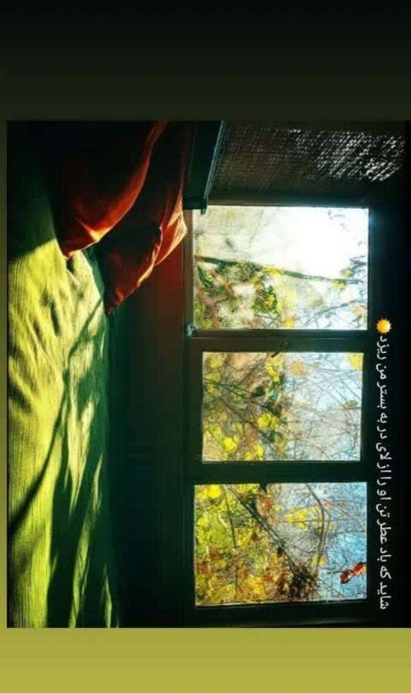 اتاق مونا کرمی