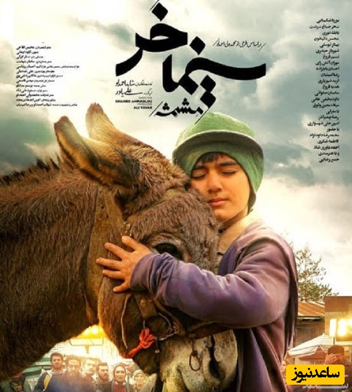 معرفی فیلم خر (مشمشه)