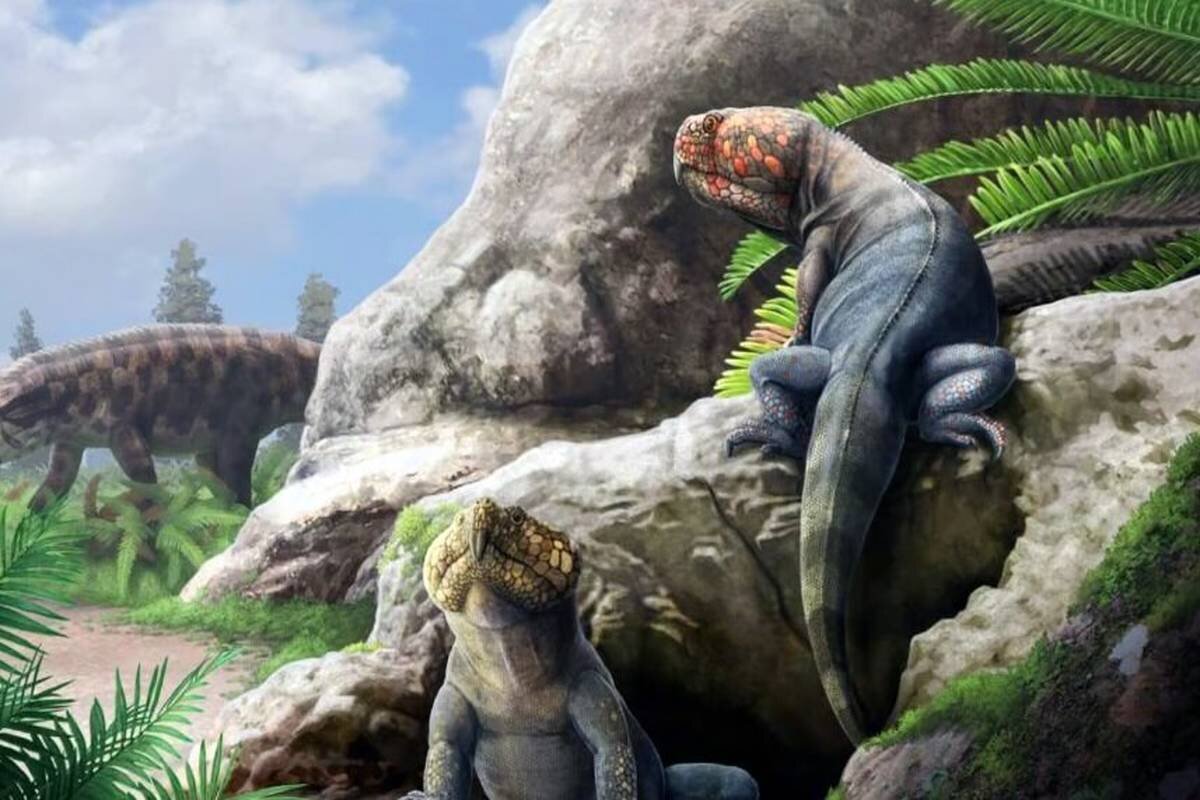 کشف یک گونه جدید از هیولاهای باستانی 250 میلیون ساله!