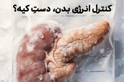 (ویدئو) چرا پانکراس فرمانده واقعی انرژی بدن شماست؟ رازی که دیابت را توضیح می‌دهد