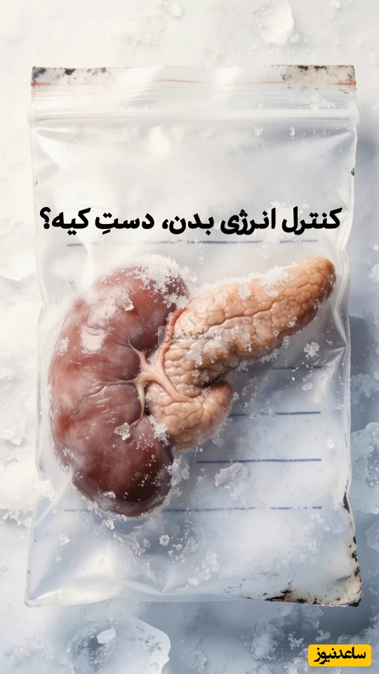 (ویدئو) چرا پانکراس فرمانده واقعی انرژی بدن شماست؟ رازی که دیابت را توضیح می‌دهد