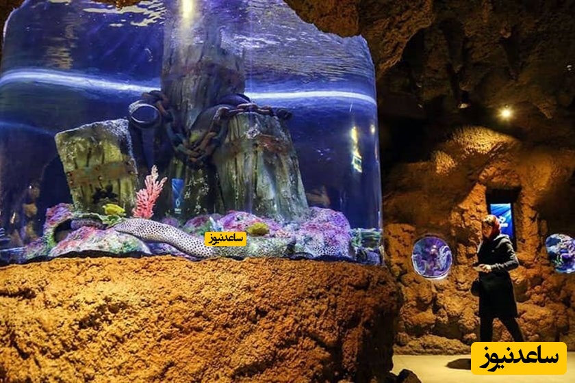 آکواریوم انزلی
