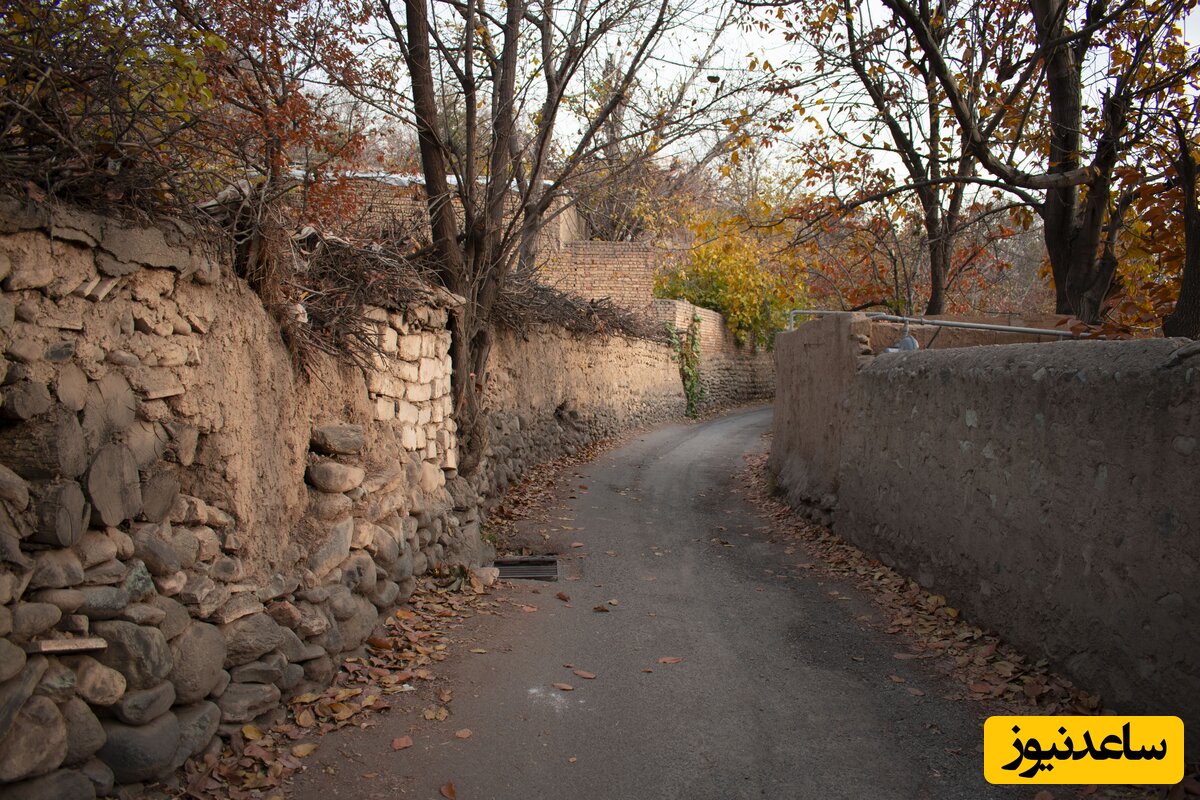 کوچه باغ کن