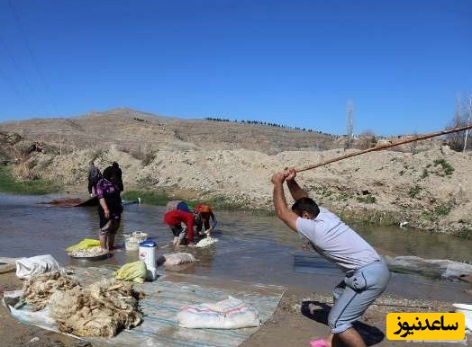 دیدن چوبک در خواب چه تعبیری دارد؟ / تعبیر خواب چوبک