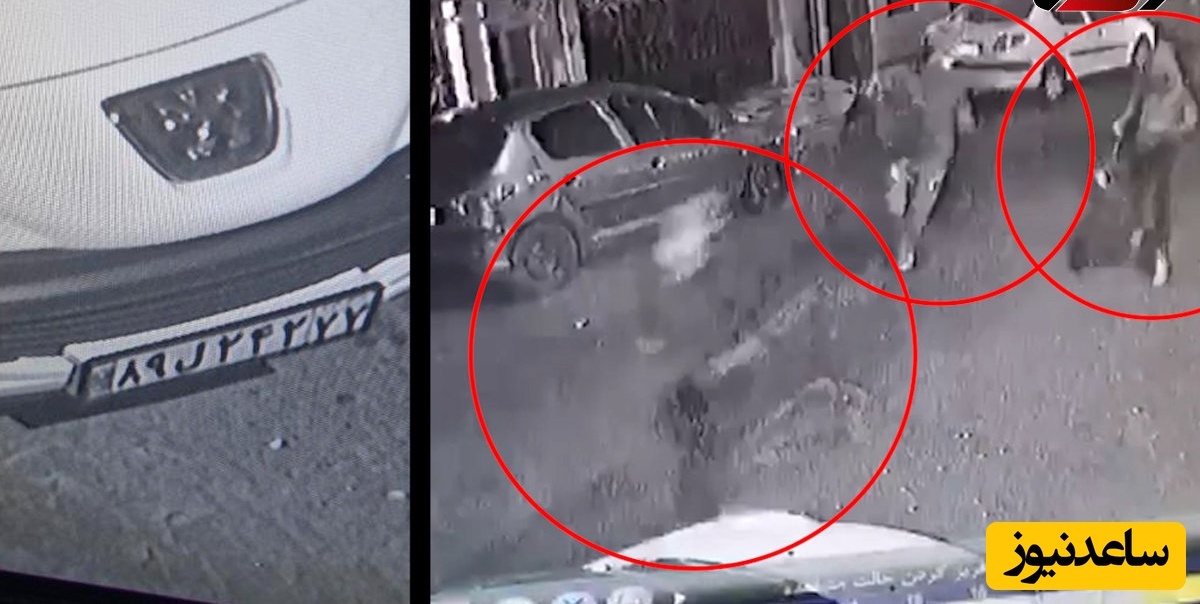 فیلم لحظه هولناک سرقت میلیاردی در شرق تهران و درگیری صاحبخانه و همسایه ها با سارقان مسلح