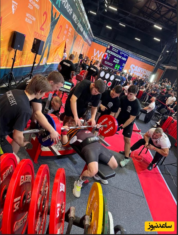 امیر شکرگزار