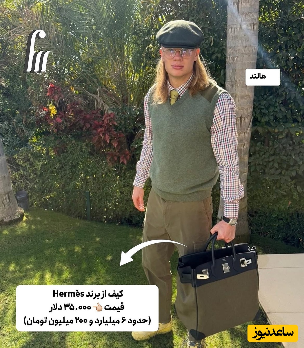 هالند