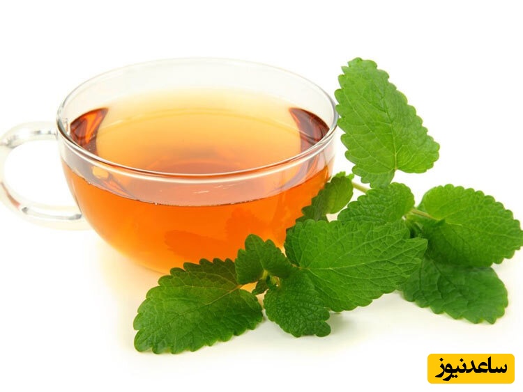  دمنوش بادرنجبویه