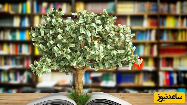 (عکس) زیباترین طراحی کتابخانه؛ وقتی هنر و طبیعت دست در دست هم می‌دهند