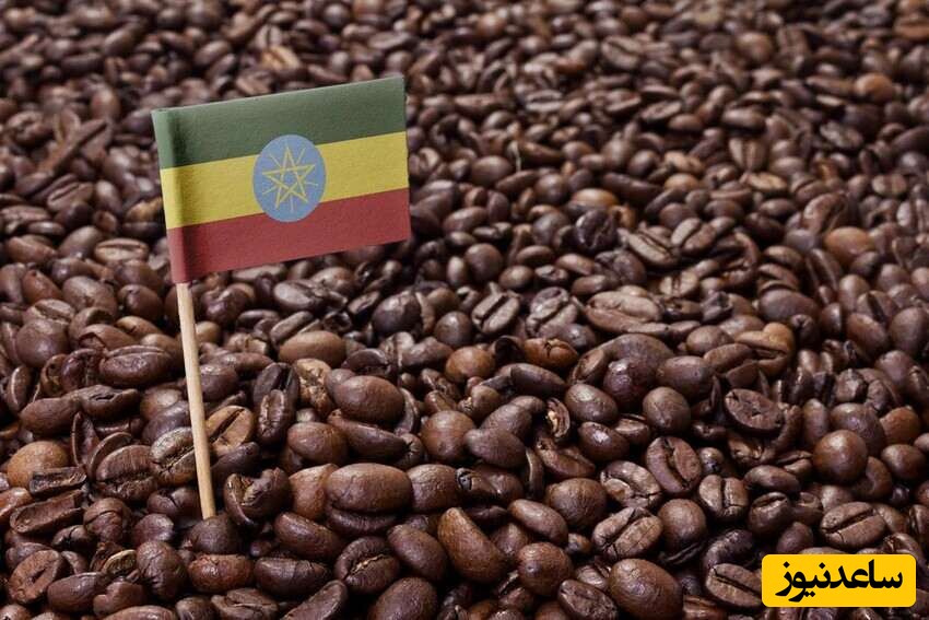 قهوه اتیوپی