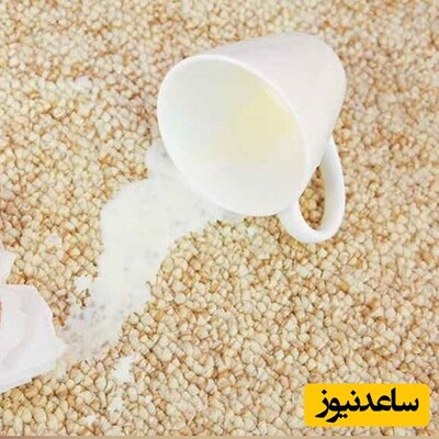 ترفند طلایی برای پاک کردن لکه شیر از روی فرش/ برای از بین بردن بوی بد شیر چه کنیم؟
