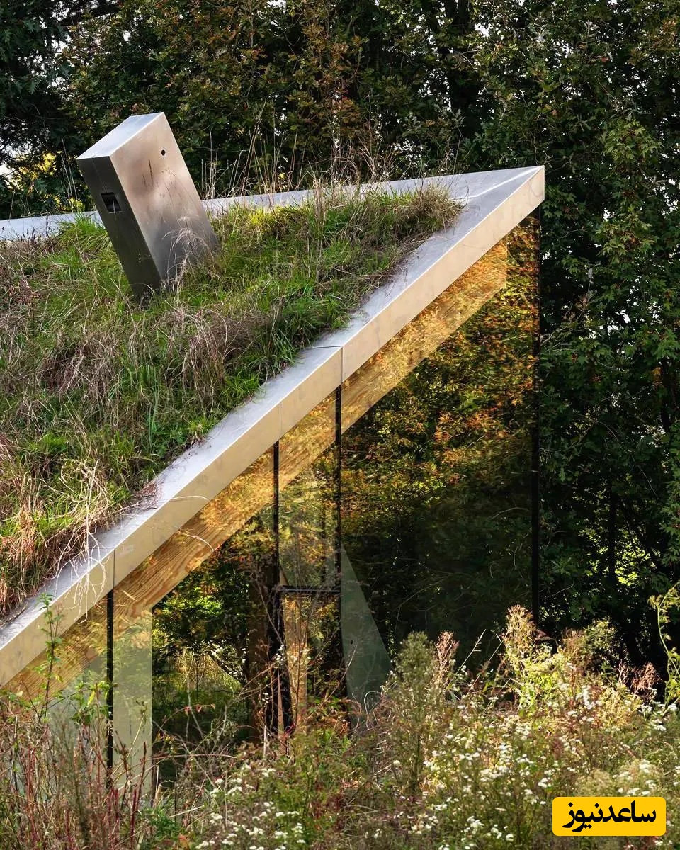 نگاهی حیرت انگیز به خانه‌ای رویایی که سقفش میزبان پرندگان و خفاش‌هاست/ ترکیب این خونه با بارون و چایی پشت پنجره بی نظیره(عکس)