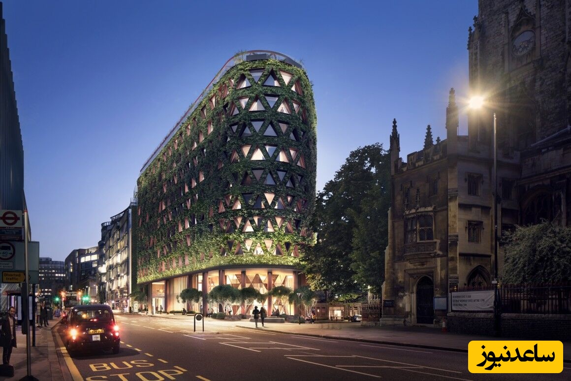 پرواز تهران به لندن؛ از دیزی تا فیش اند چیپس!