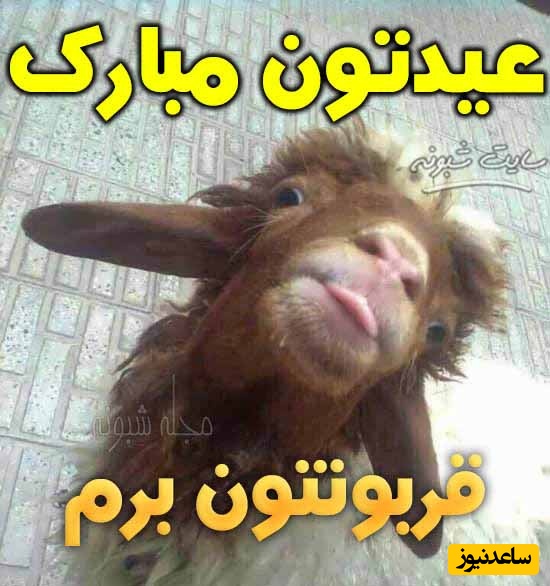 تبریک عید قربان