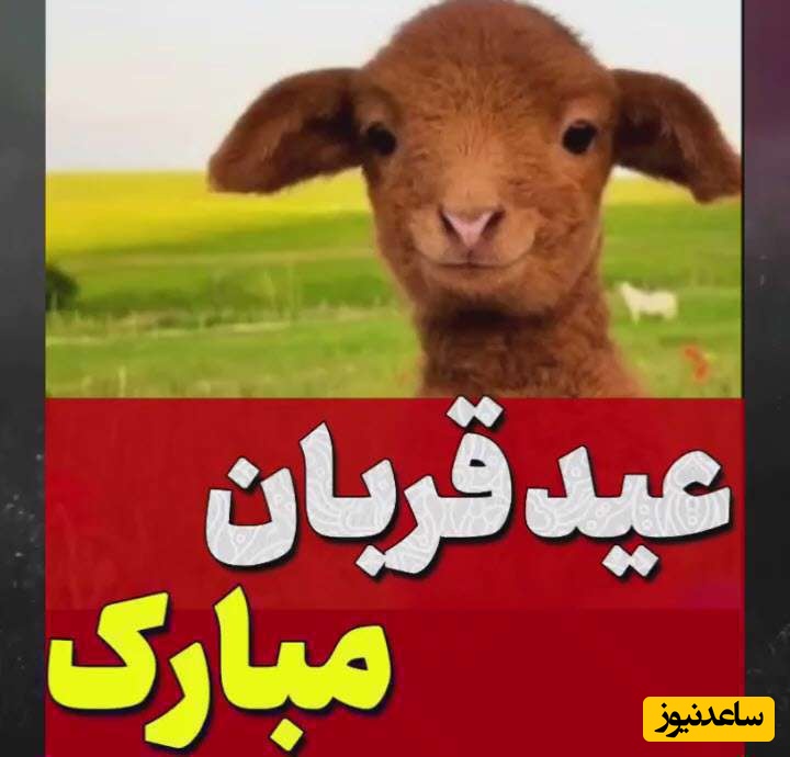 تبریک عید قربان