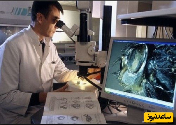 منابع دروس آزمون رشته حشره شناسی کشاورزی و ضرایب آن در مقطع دکتری