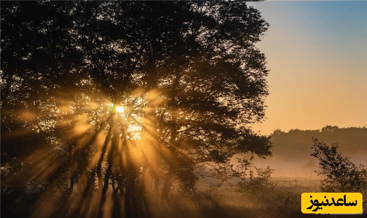 دیدن بعد از ظهر در خواب چه تعبیری دارد؟ / تعبیر خواب بعد از ظهر