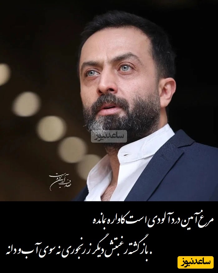 عاشقانه ای بی همتا از نیما یوشیج  با صدای زیبای مصطفی زمانی/ مرغ آمین درد آلودی است کاواره بمانده، رفته تا آنسوی این بیداد خانه+ ویدیو