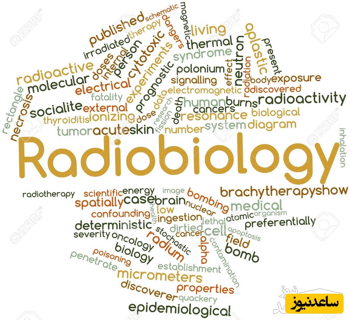 منابع و دروس رشته رادیوبیولوژی و حفاظت پرتویی و ضرایب آن در مقطع کارشناسی ارشد
