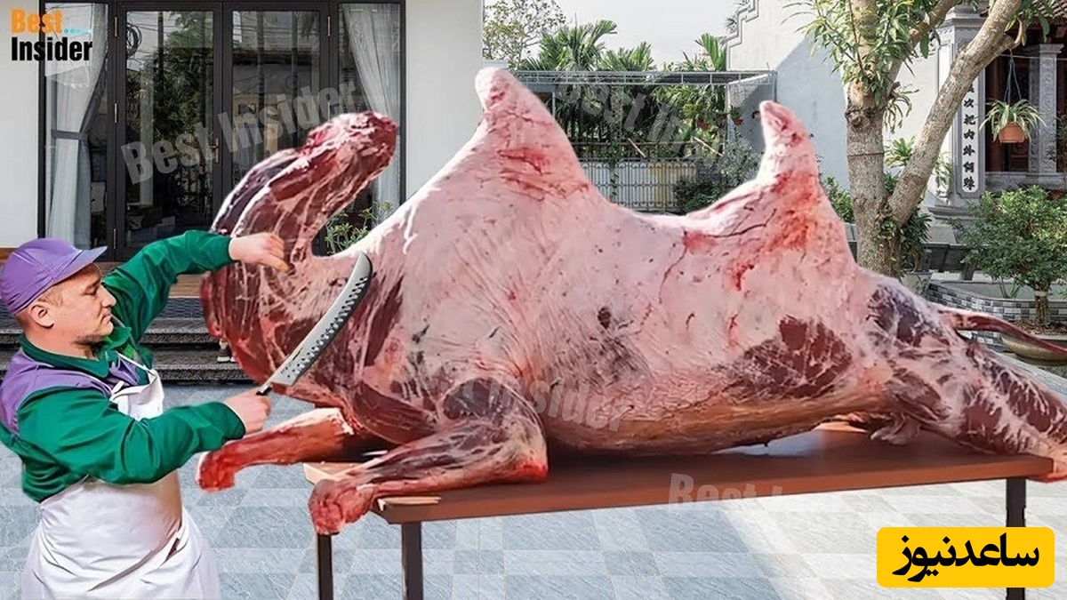 (ویدئو) آیا می دانید مصرف هم‌زمان گوشت شتر و گوسفند می تواند در درمان بیماری‌ های خود ایمن تاثیر چشمگیری داشته باشد؟!