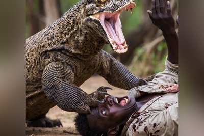 مستند حیات وحش/ رازبقا/ حمله هولناک اژدهای کومودو برای بلعیدن یک انسان درسته