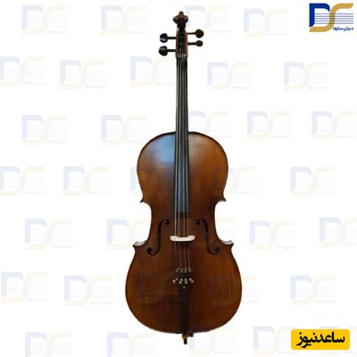 چه چیزی باعث خاص شدن ساز ویولنسل میشود؟