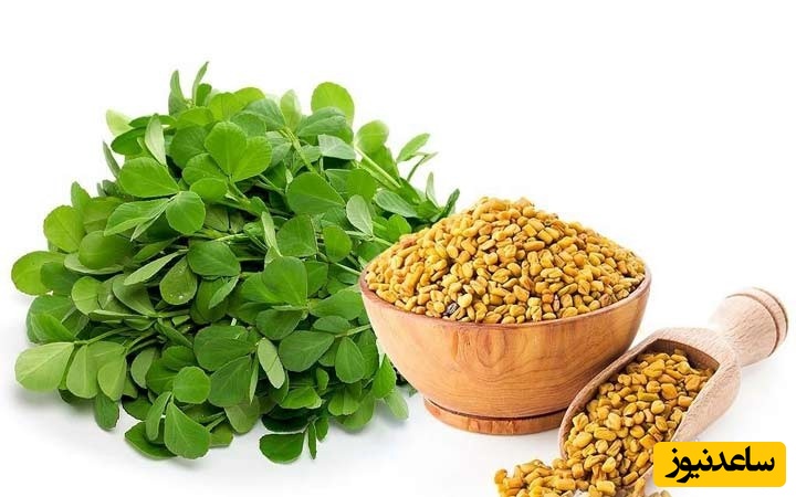 رفع مشکل گوارشی بیماران خاص ICU با بذر شنبلیله