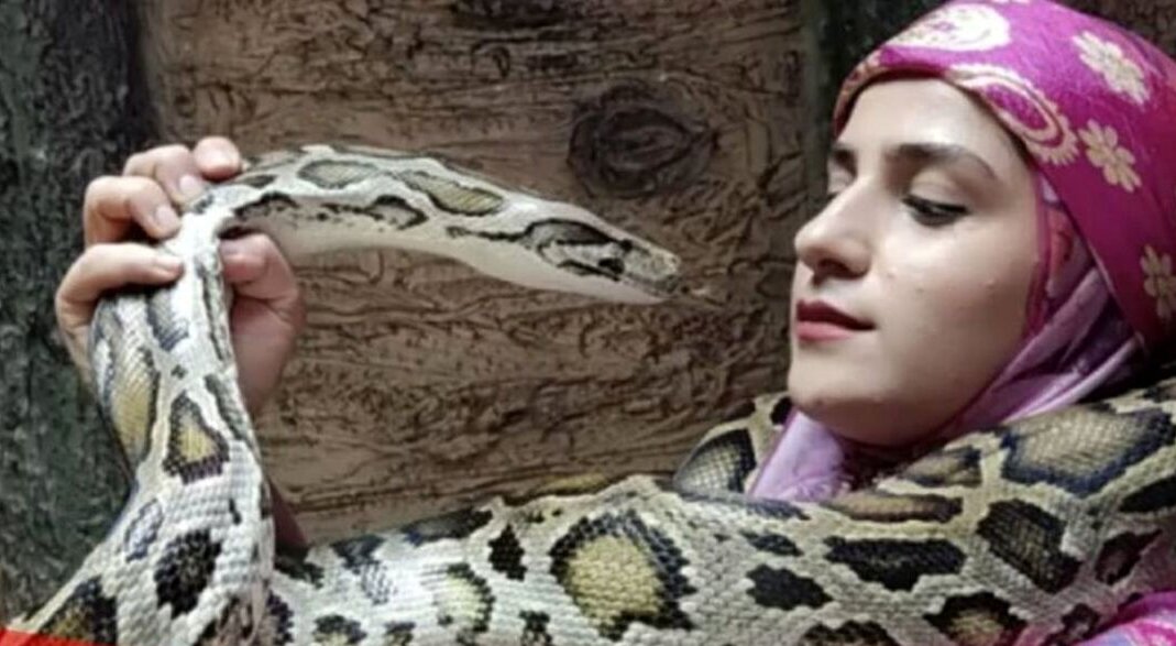 ملکه مارهای جهان ایرانی است + فیلم ترسناک از فائزه غلامی !