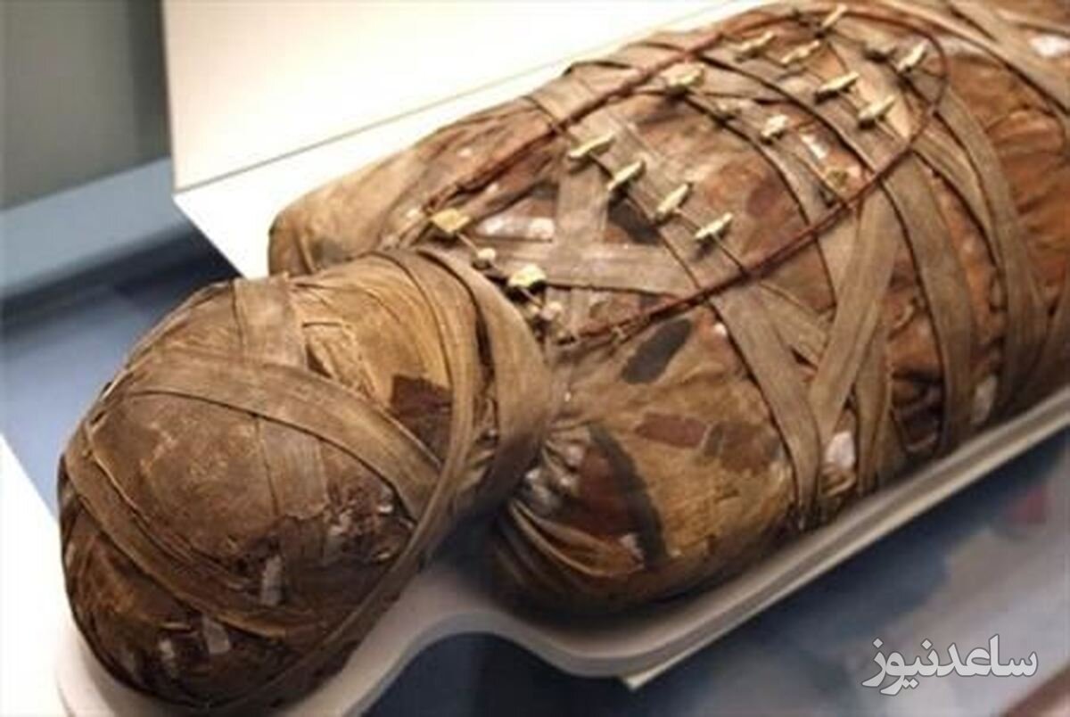 مومیایی 2000 ساله ای که تمام اجزای داخلی بدنش سالم مانده است/ واقعا خیلی عجیبه!+عکس