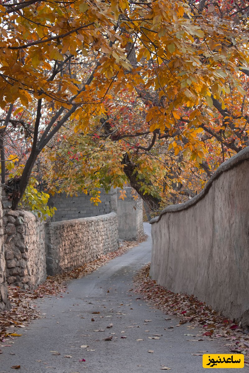 کوچه باغ کن