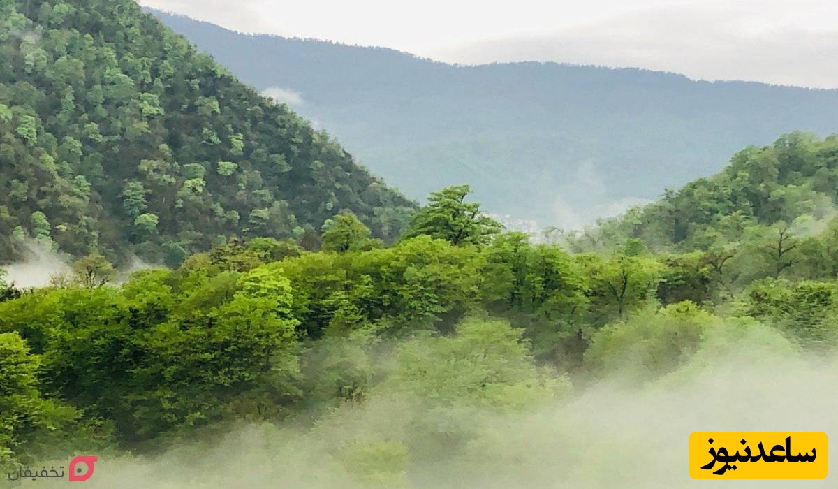 روستای لاویج